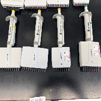 Eppendorf Research Plus Multichannel Pipettes - Quantity 8 image 0